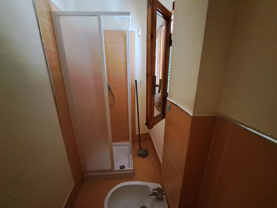 Immagine 17 di Appartamento in vendita  a Peccioli