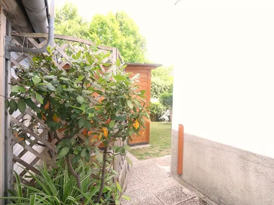 Immagine 30 di Appartamento in vendita  a Calcinaia