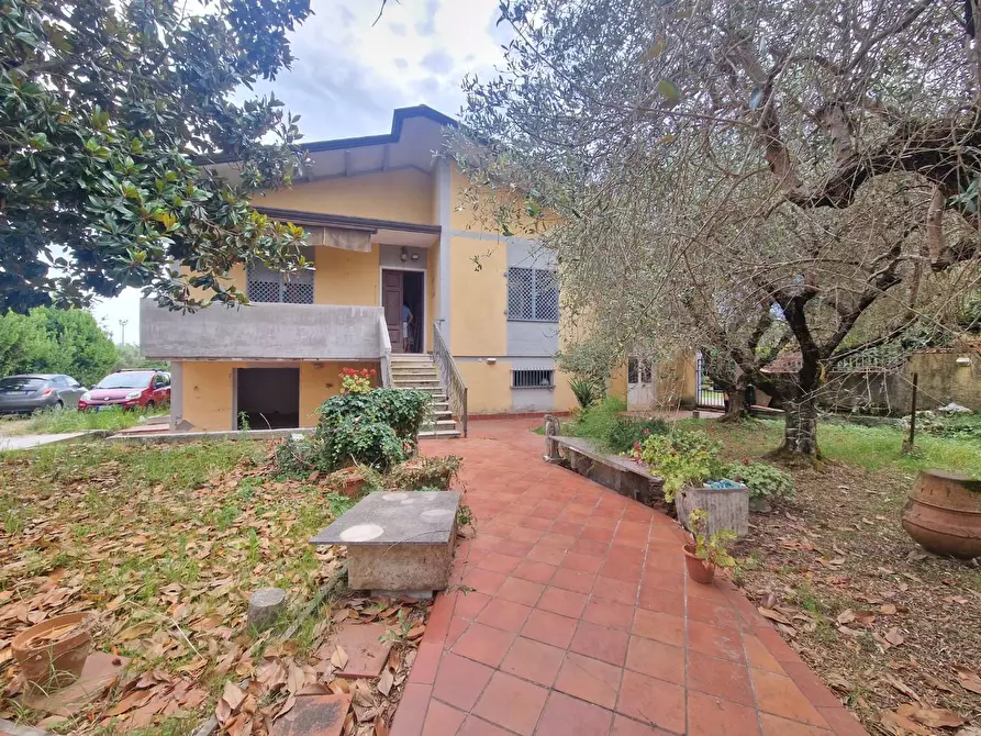 Immagine 2 di Casa indipendente in vendita  a Carrara