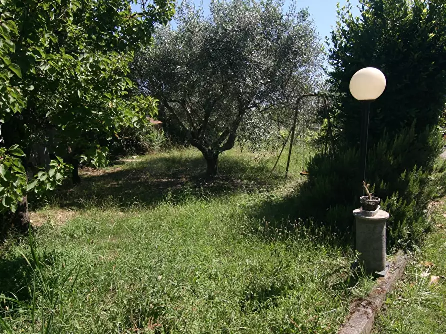 Immagine 6 di Casa indipendente in vendita  a Carrara