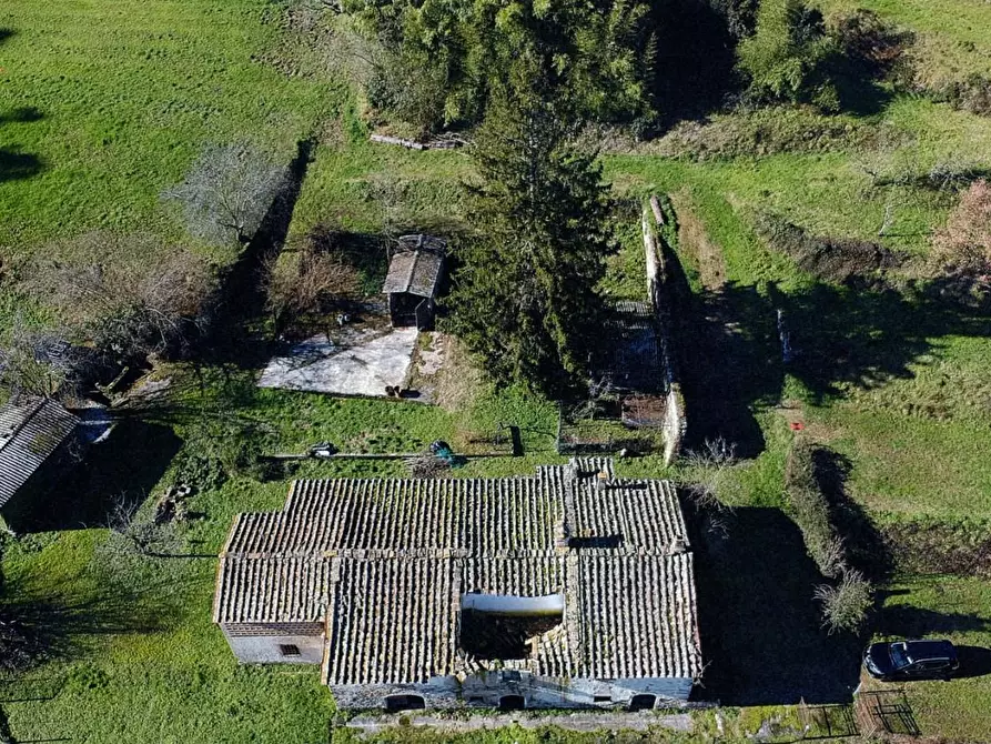 Immagine 1 di Casa colonica in vendita  a Buti