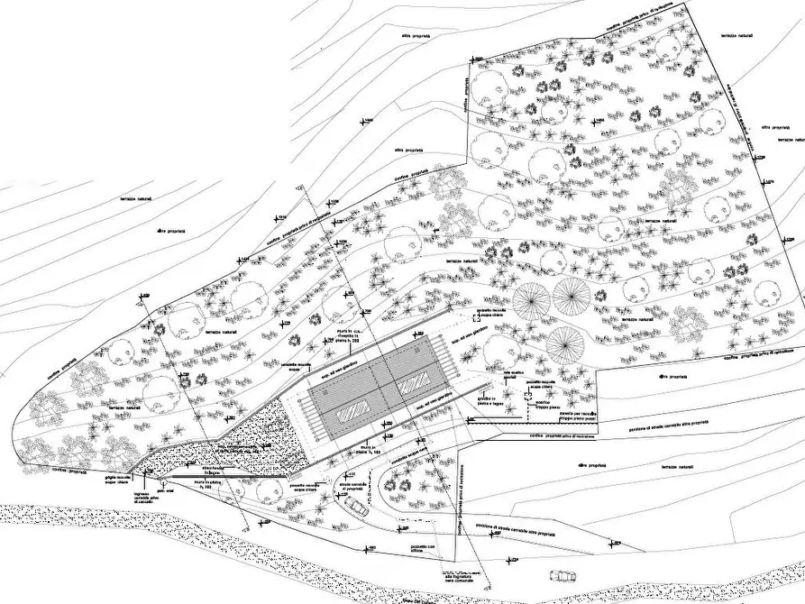 Immagine 7 di Villa in vendita  a Massa