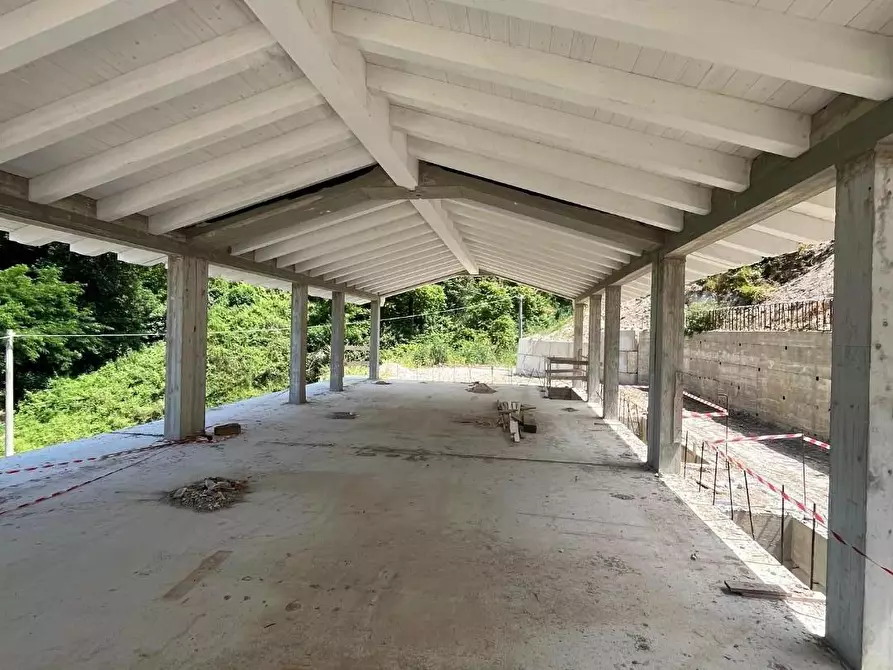 Immagine 5 di Villa in vendita  a Massa