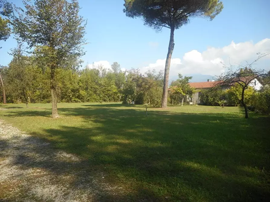 Immagine 24 di Villa in affitto  a Massa