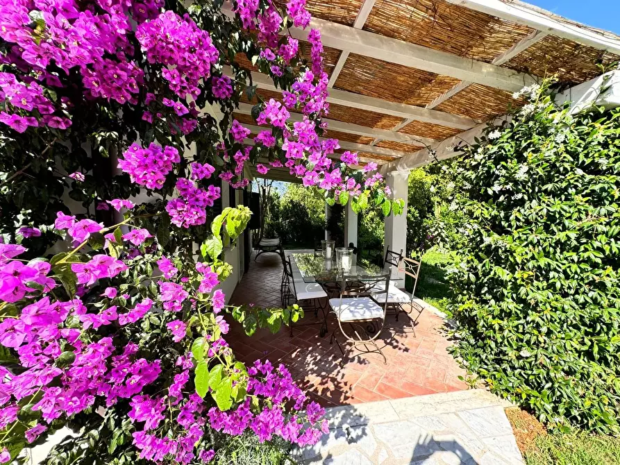 Immagine 26 di Villa in affitto  a Massa