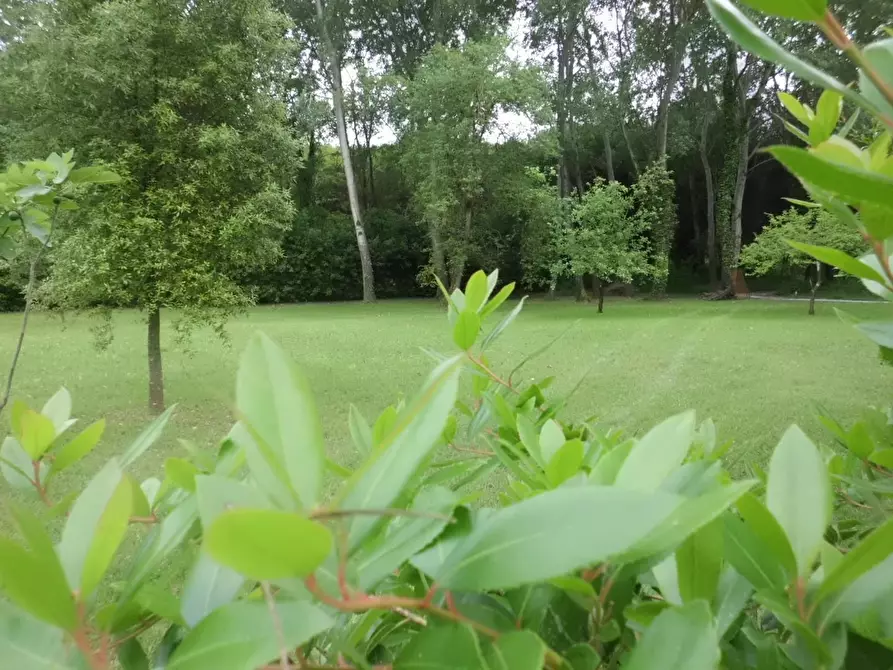 Immagine 25 di Villa in affitto  a Massa