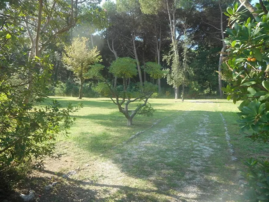 Immagine 23 di Villa in affitto  a Massa