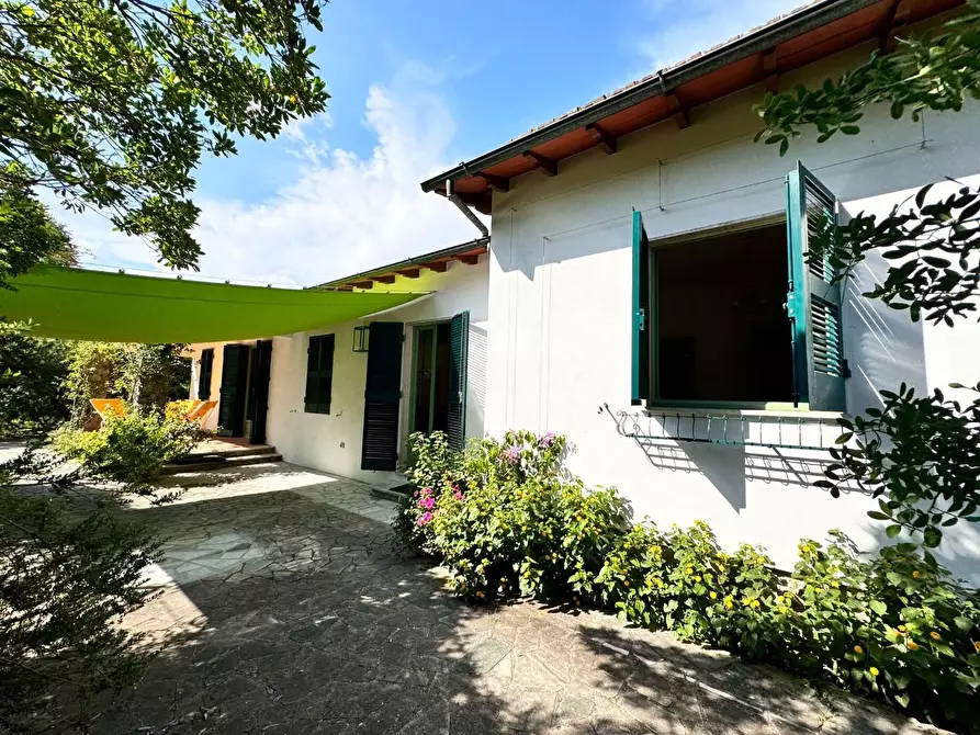 Immagine 4 di Villa in affitto  a Massa