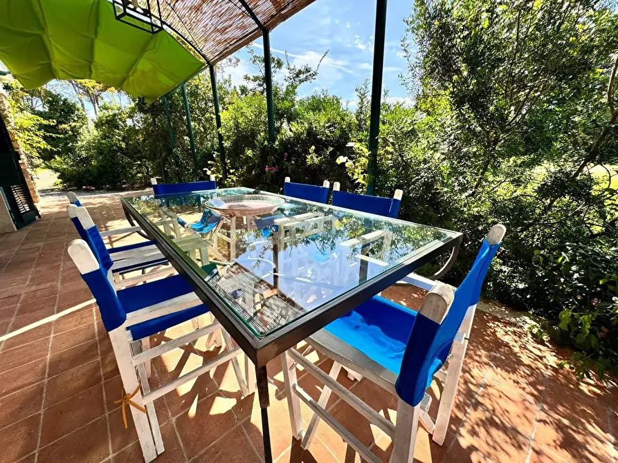 Immagine 3 di Villa in affitto  a Massa