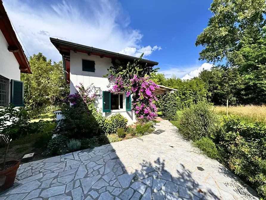 Immagine 27 di Villa in affitto  a Massa
