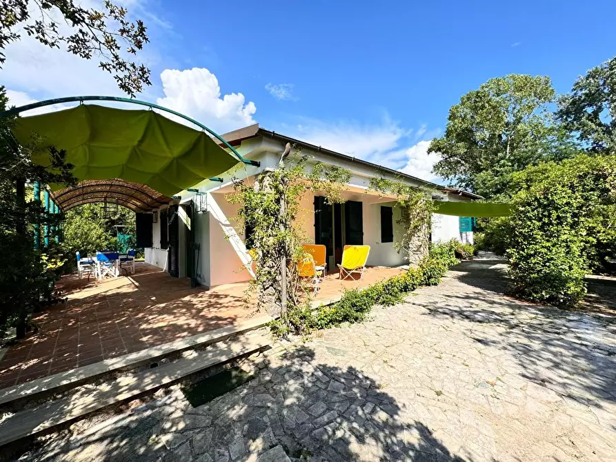 Immagine 1 di Villa in affitto  a Massa