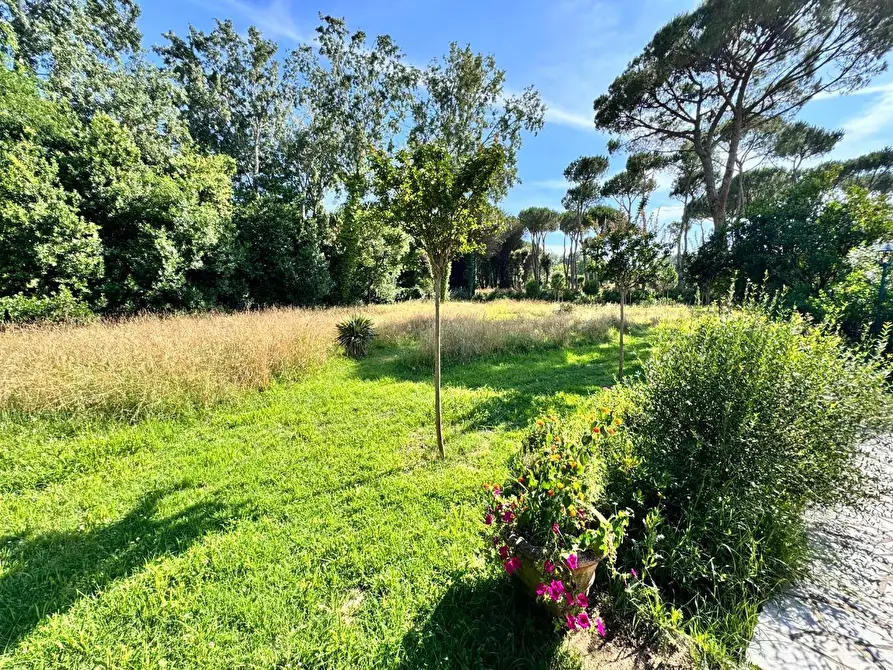 Immagine 22 di Villa in affitto  a Massa