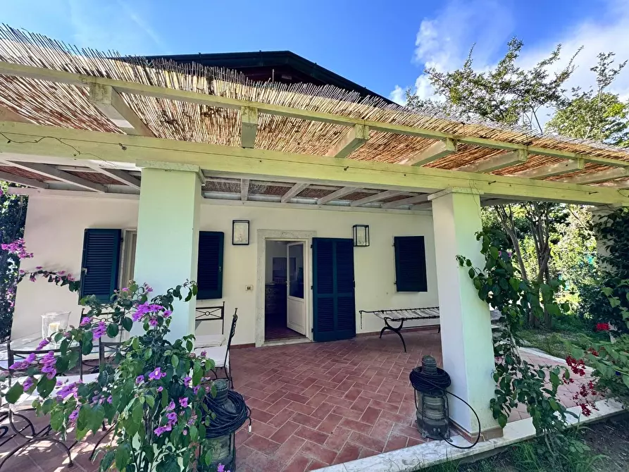 Immagine 5 di Villa in affitto  a Massa