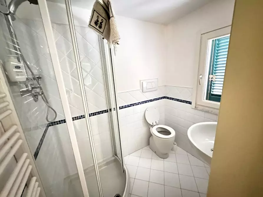 Immagine 31 di Villa in affitto  a Massa