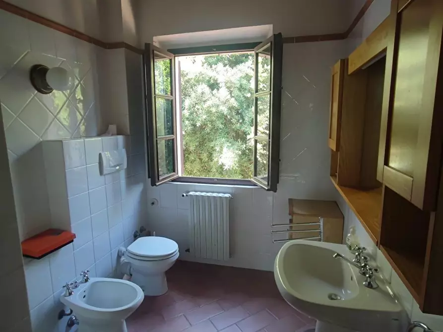 Immagine 21 di Casa colonica in vendita  a Palaia