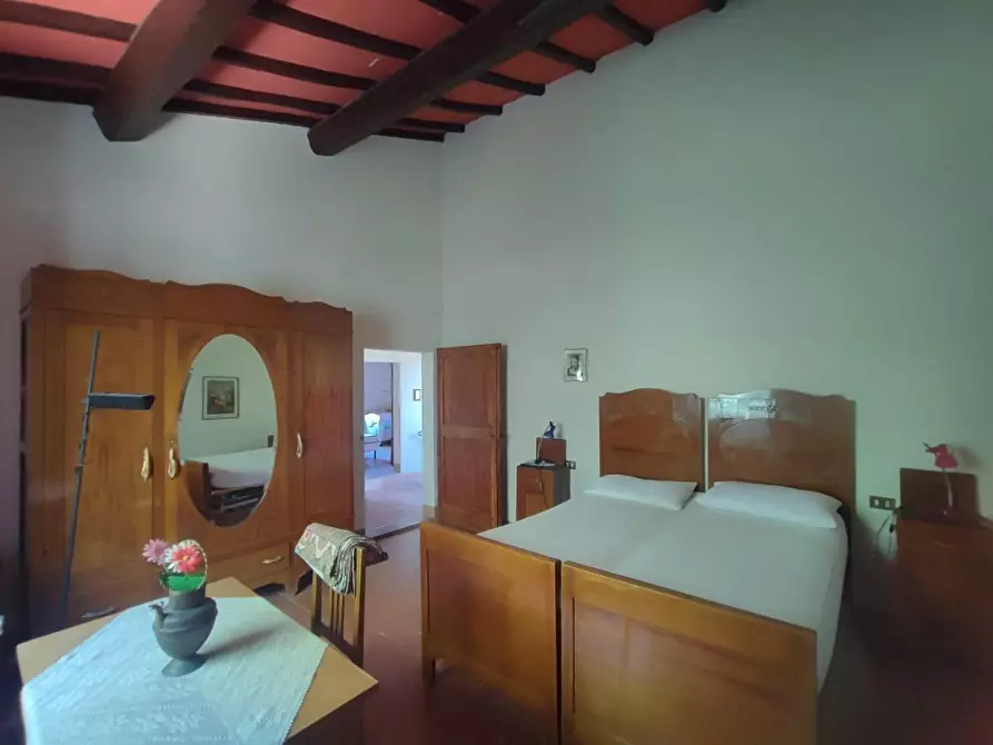 Immagine 24 di Casa colonica in vendita  a Palaia