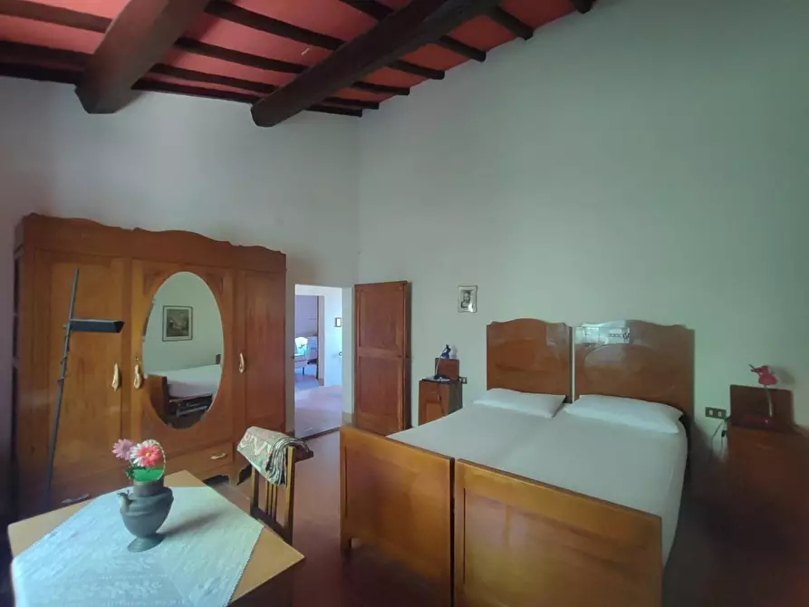 Immagine 20 di Casa colonica in vendita  a Palaia