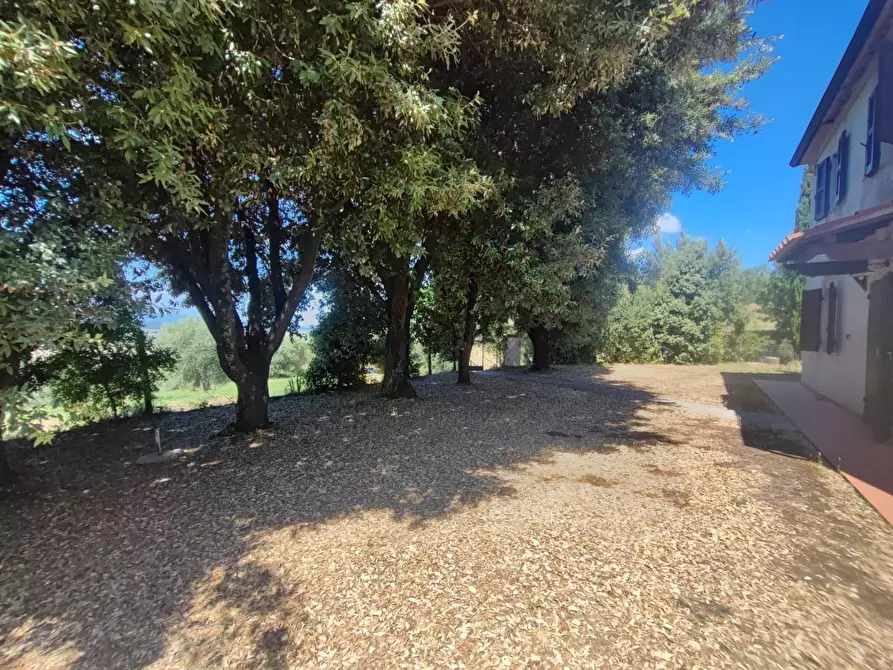 Immagine 29 di Casa colonica in vendita  a Palaia