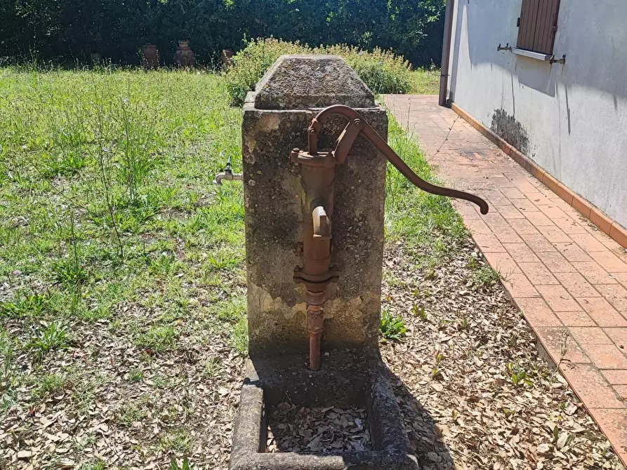 Immagine 27 di Casa colonica in vendita  a Palaia
