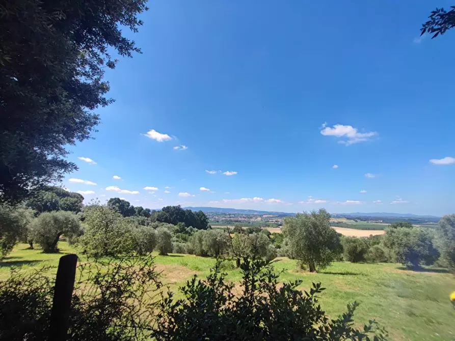 Immagine 28 di Casa colonica in vendita  a Palaia