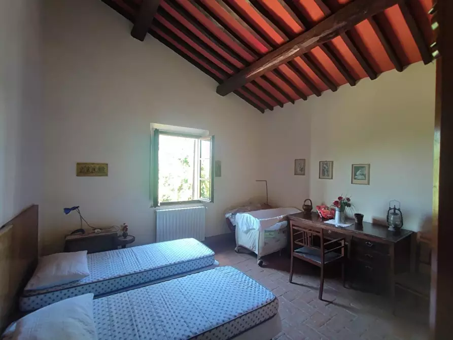 Immagine 22 di Casa colonica in vendita  a Palaia