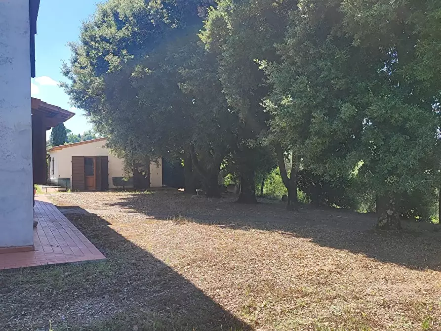 Immagine 30 di Casa colonica in vendita  a Palaia