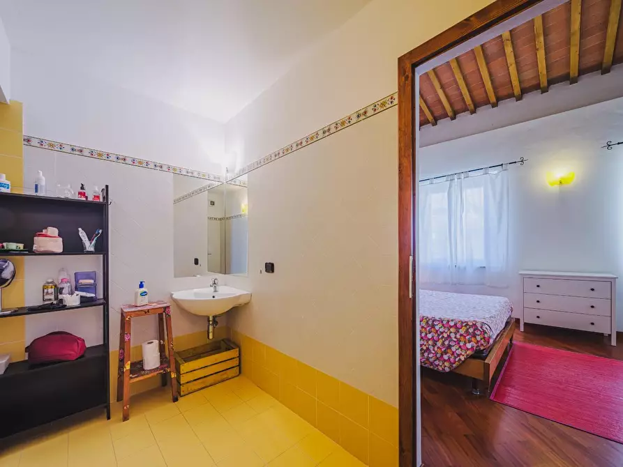 Immagine 33 di Terratetto in vendita  a Palaia