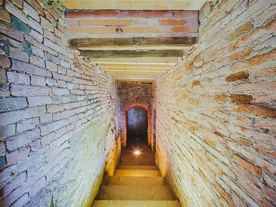 Immagine 27 di Terratetto in vendita  a Palaia