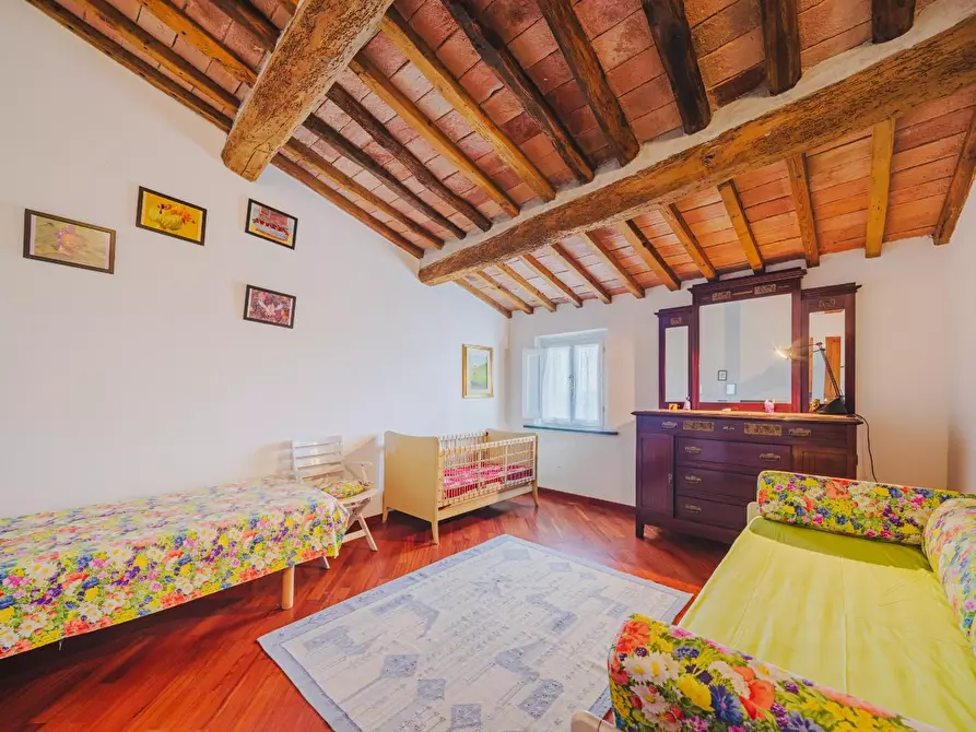 Immagine 16 di Terratetto in vendita  a Palaia