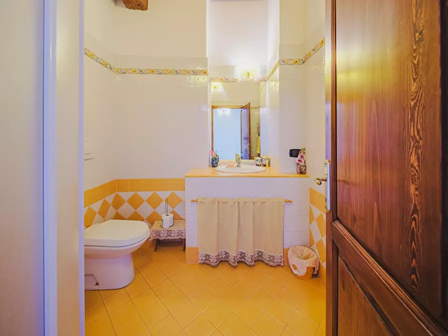 Immagine 29 di Terratetto in vendita  a Palaia