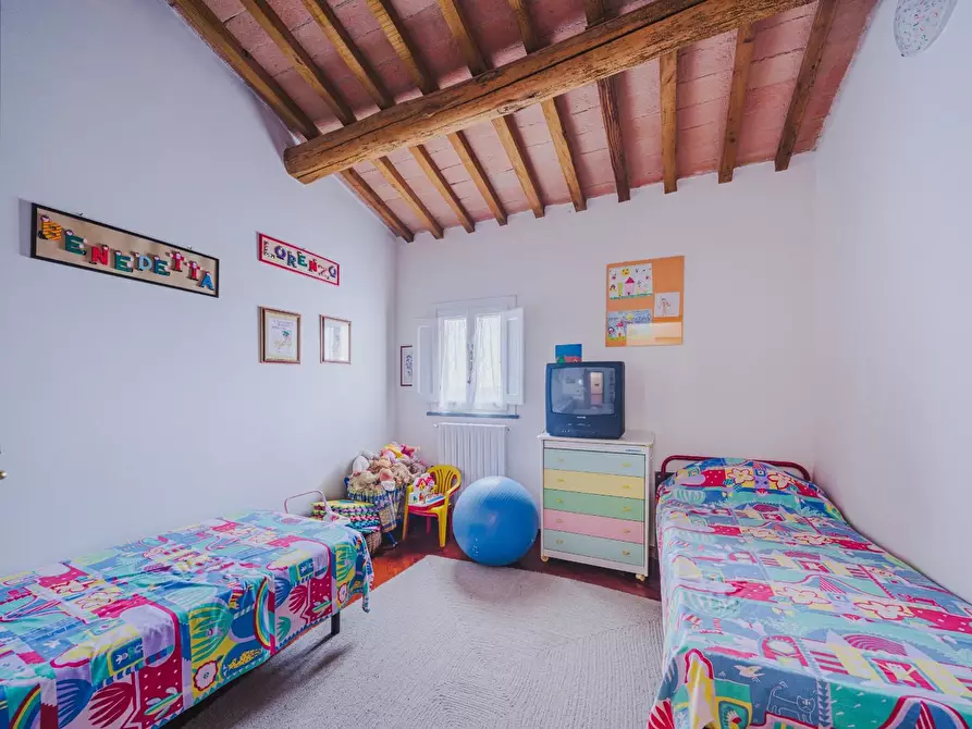 Immagine 14 di Terratetto in vendita  a Palaia