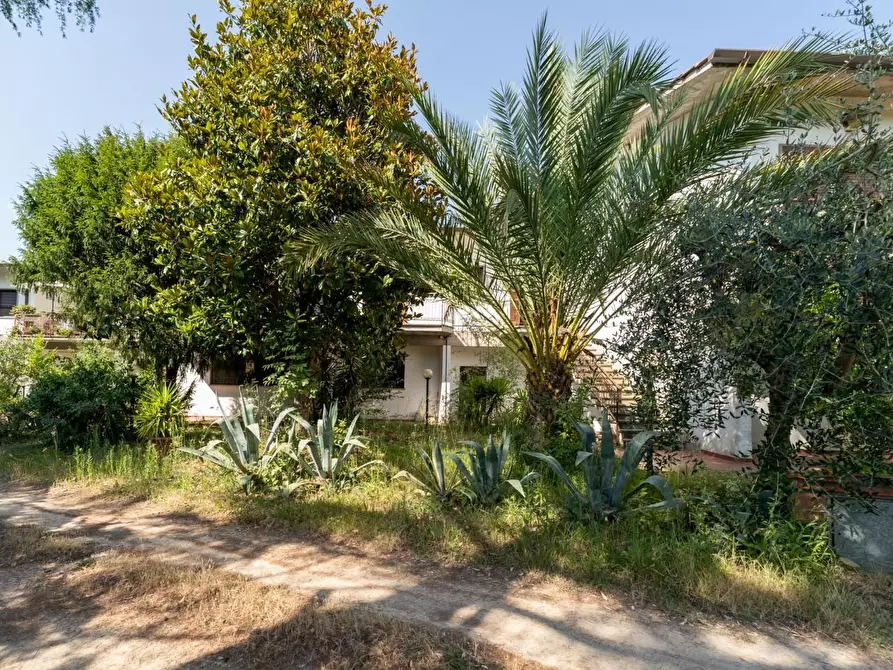 Immagine 22 di Casa trifamiliare in vendita  a Casciana Terme Lari