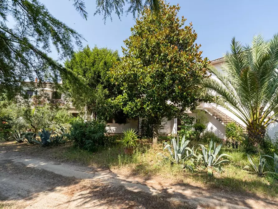 Immagine 25 di Casa trifamiliare in vendita  a Casciana Terme Lari