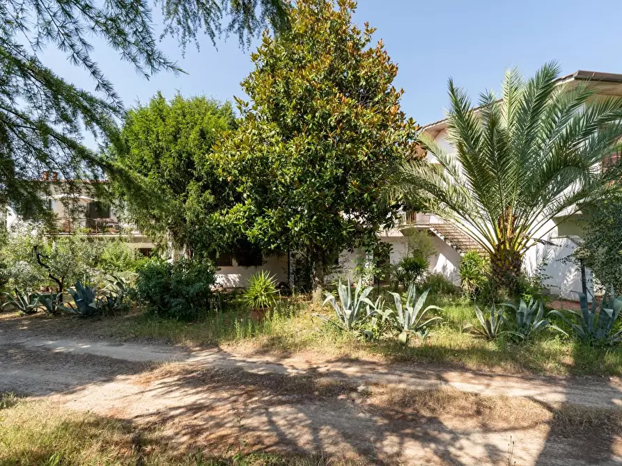 Immagine 29 di Casa trifamiliare in vendita  a Casciana Terme Lari