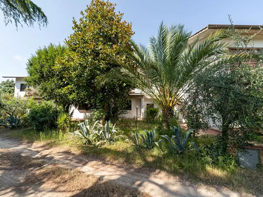 Immagine 7 di Casa trifamiliare in vendita  a Casciana Terme Lari