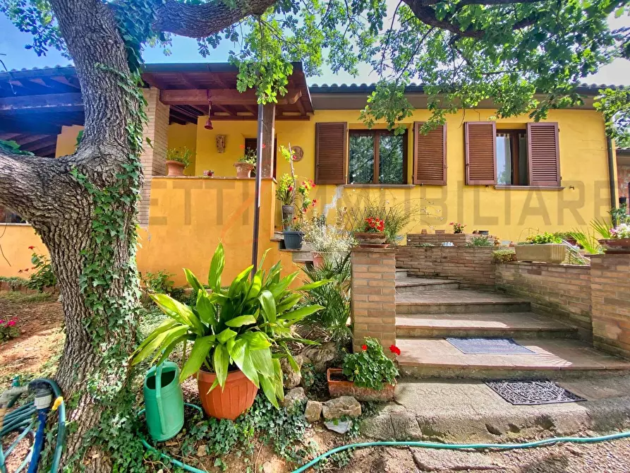 Immagine 3 di Casa colonica in vendita  a Suvereto