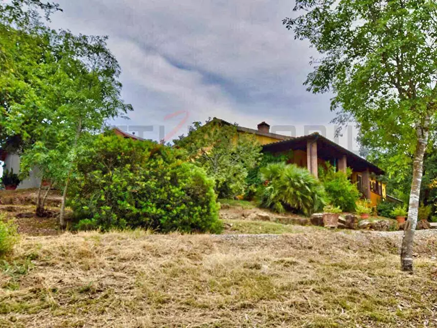 Immagine 35 di Casa colonica in vendita  a Suvereto