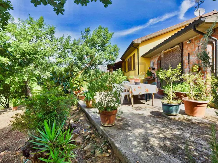 Immagine 45 di Casa colonica in vendita  a Suvereto