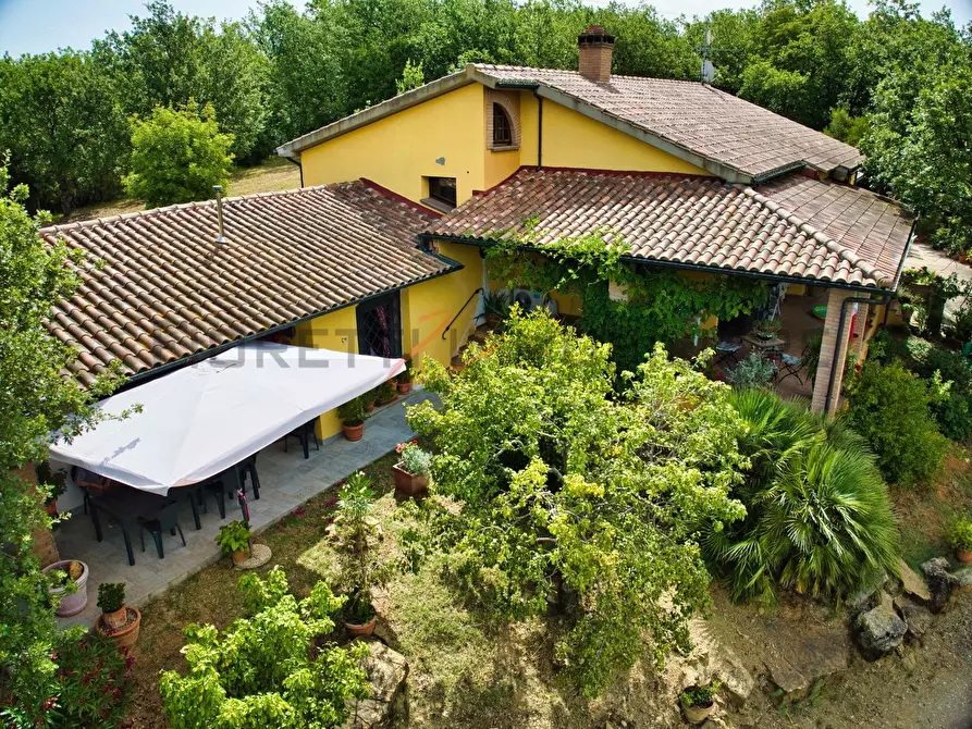 Immagine 16 di Casa colonica in vendita  a Suvereto