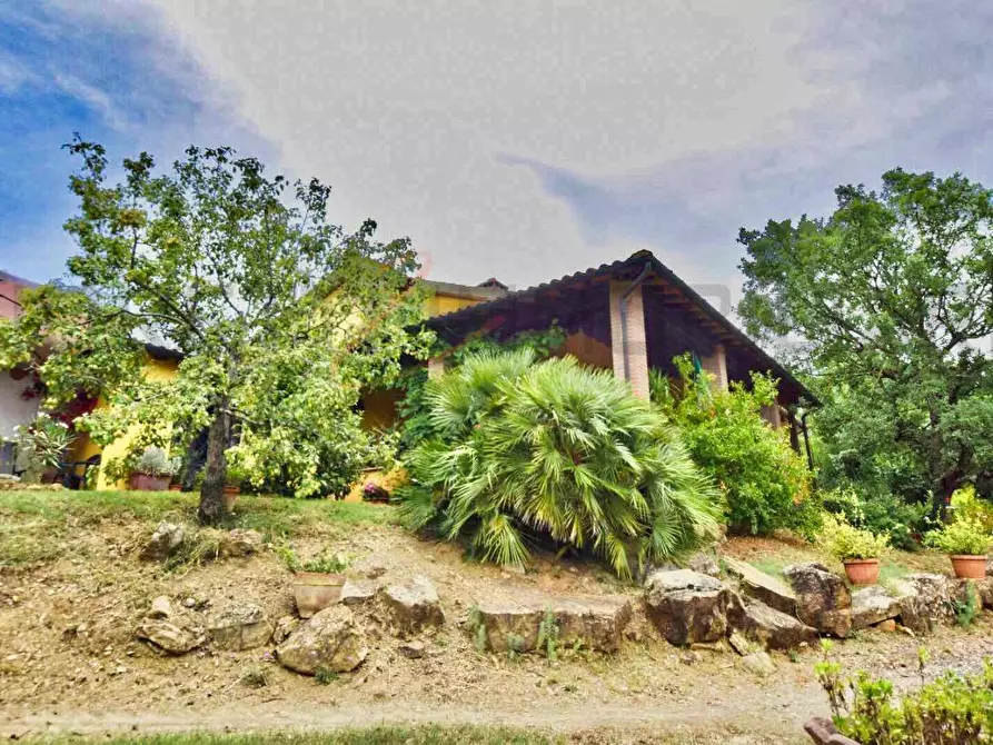 Immagine 33 di Casa colonica in vendita  a Suvereto