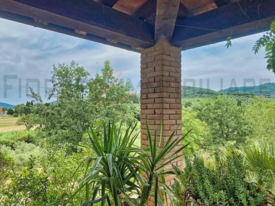 Immagine 26 di Casa colonica in vendita  a Suvereto