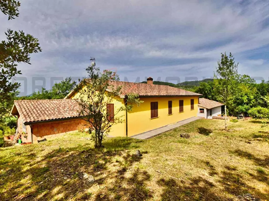 Immagine 42 di Casa colonica in vendita  a Suvereto