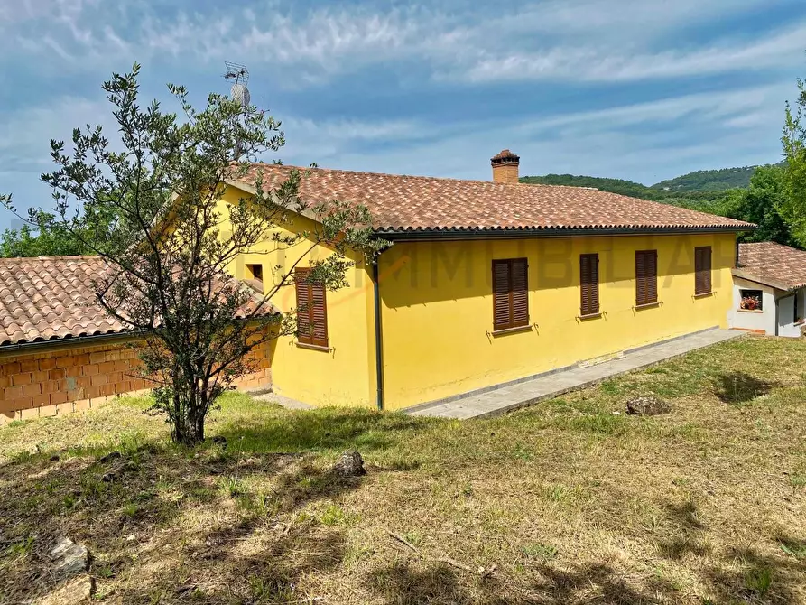 Immagine 20 di Casa colonica in vendita  a Suvereto