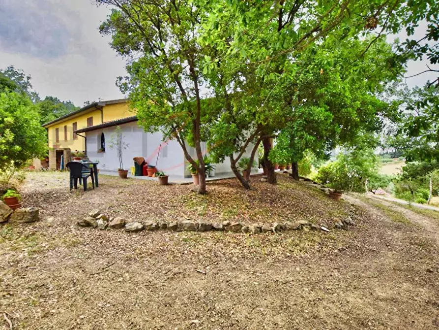 Immagine 28 di Casa colonica in vendita  a Suvereto