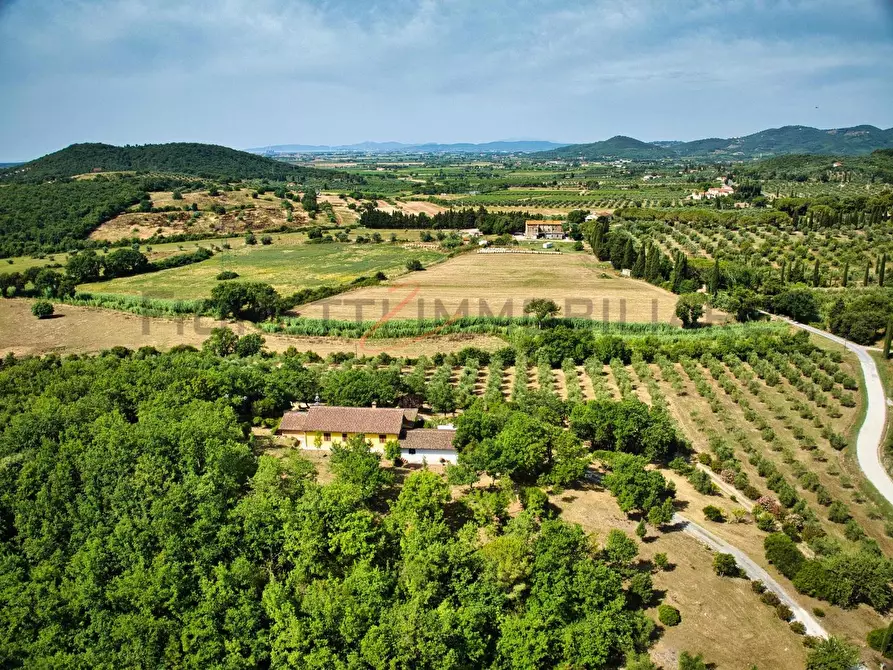 Immagine 11 di Casa colonica in vendita  a Suvereto