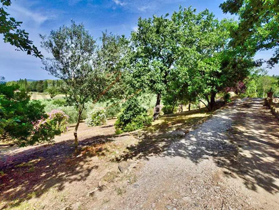 Immagine 46 di Casa colonica in vendita  a Suvereto