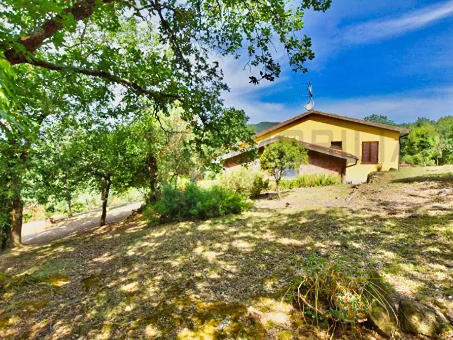 Immagine 43 di Casa colonica in vendita  a Suvereto