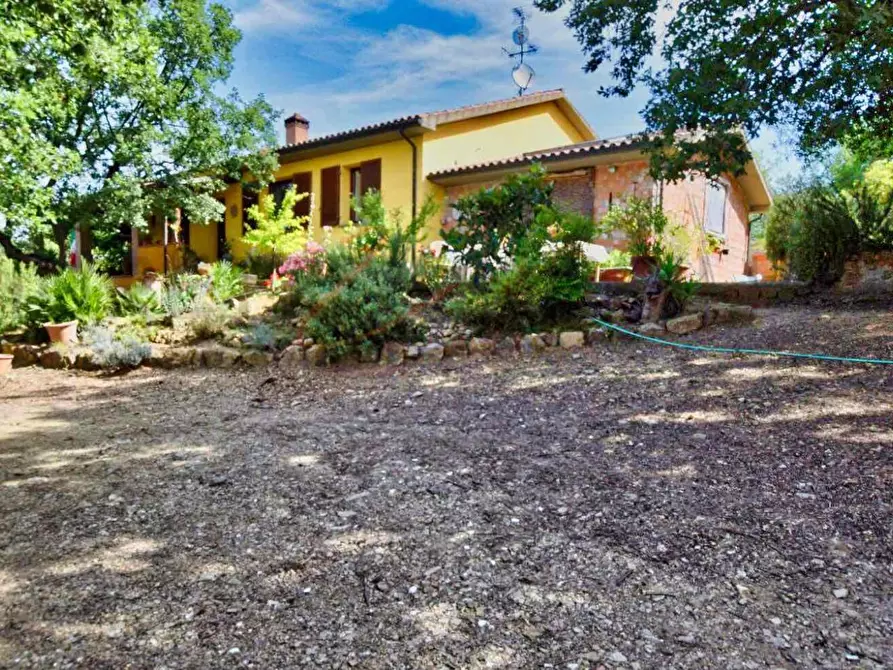 Immagine 49 di Casa colonica in vendita  a Suvereto