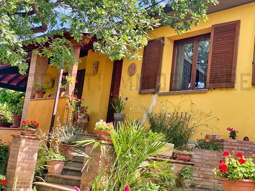 Immagine 19 di Casa colonica in vendita  a Suvereto