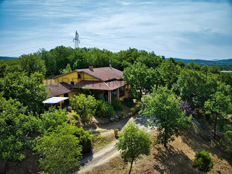 Immagine 4 di Casa colonica in vendita  a Suvereto